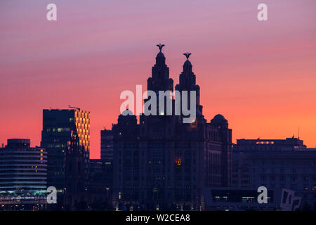 Vereinigtes Königreich, England, Merseyside, Liverpool, Blick auf das Royal Liver Building - mit zwei Clock towers durch zwei Leber Vögel gekrönt Stockfoto