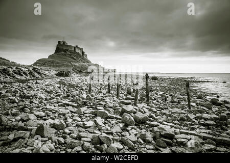 Lindisfarne, die heilige Insel, Northumberland, England, Großbritannien Stockfoto