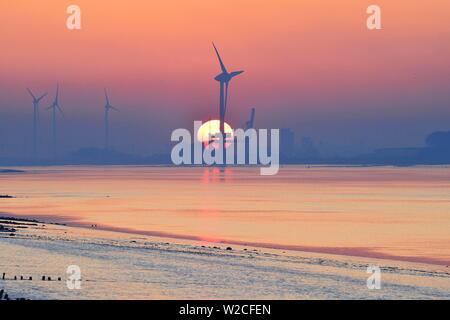 Windkraftanlagen vor der untergehenden Sonne, Mündung der Ems in die Nordsee, Greetsiel, Rheiderland, Ostfriesland, Niedersachsen, Deutschland Stockfoto