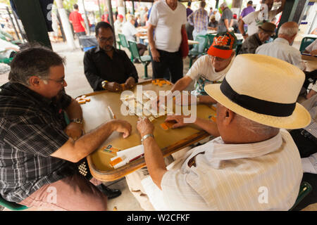 USA, Florida, Miami, Little Havana, Calle Ocho, SW 8th Street, Maximo Gomez Park, Domino Spieler Stockfoto