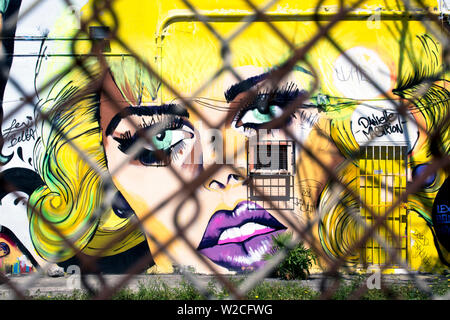 Graffiti street-Art in Wynwood Art District von Miami, Florida, USA Stockfoto