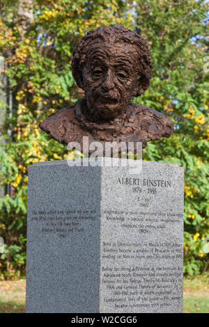 USA, New Jersey, Princeton, Albert Einstein-statue Stockfoto