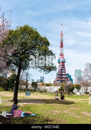 Japanische Minatokushiba Picknick im Park, zurück Tokyo Tower, Tokyo, Japan Stockfoto