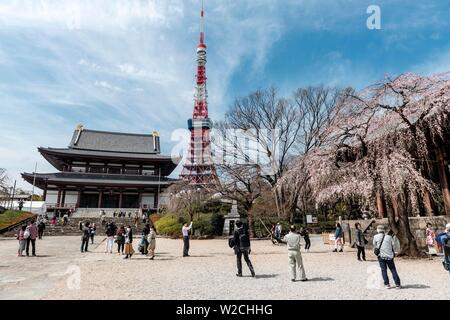 Tokyo Tower mit Zojoji Tempel, buddhistische Tempelanlage, Tokio, Japan Stockfoto