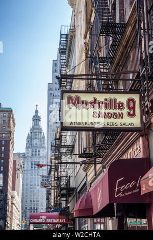 New York City Hall, Lower Manhattan/Downtown, Manhattan, New York City, New York, USA Stockfoto