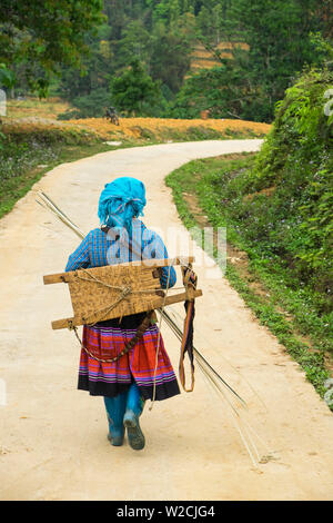 Flower Hmong Frau zu Fuß entlang der Straße, Nr Bac Ha, nr Sapa, N. Vietnam Stockfoto