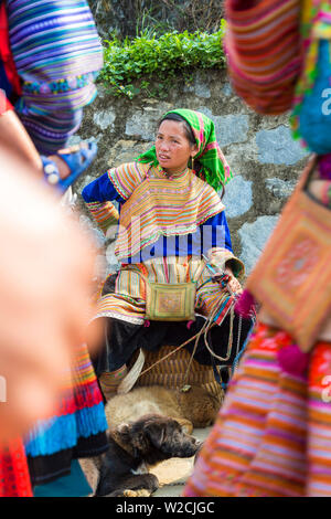 Flower Hmong Frau verkaufen Hunde am Markt, Bac Ha, Vietnam Stockfoto