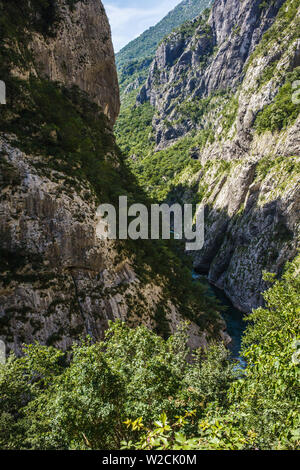 Schlucht des Flusses Tara in den Bergen von Montenegro. Stockfoto