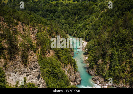 Schlucht des Flusses Tara in den Bergen von Montenegro. Stockfoto