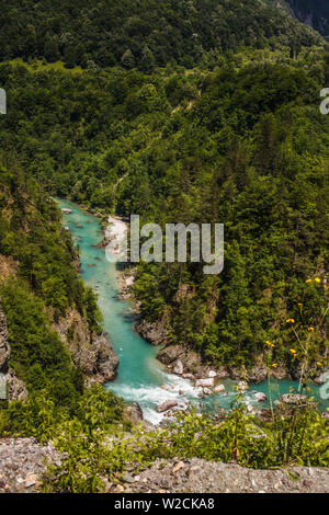 Schlucht des Flusses Tara in den Bergen von Montenegro. Stockfoto