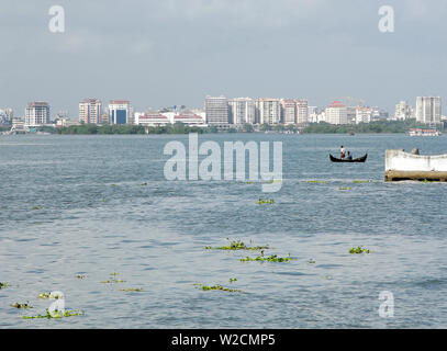Bucht in Fort Kochi mit Perle Wasser und schwebenden grünen Pflanzen auf dem Hintergrund der modernen Stadt. Stockfoto