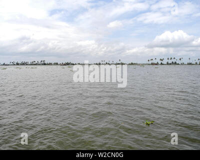 Vembanad See auf backwaters in Kerala Kochi Stockfoto