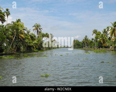 Backwater in Kerala Kochi Stockfoto