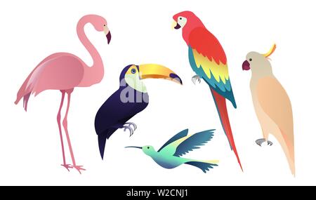 Tropische Vögel: Papageien, Flamingos und toucan. Sammlung auf dem weißen Hintergrund. Vector Illustration Stock Vektor