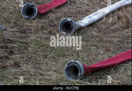 Alt Jabel, Deutschland. 08 Juli, 2019. Leere Schläuche der Feuerwehr liegen in den Wald auf dem ehemaligen Truppenübungsplatz. Eine Woche nach dem Ausbruch der verheerenden Waldbrand in der Nähe von Lübtheen im südwestlichen Mecklenburg, die Flammen in der Gegend, die stark mit Munition verunreinigt, haben gelöscht, nach dem Befehl. Auf einer Fläche von etwa 500 Hektar, es gibt noch glühende Nester im Boden, sind genau zu beachten. Insgesamt 1.200 Hektar Wald waren betroffen. Credit: Jens Büttner/dpa-Zentralbild/dpa/Alamy leben Nachrichten Stockfoto