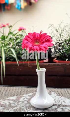 Rosa Gerbera Blume in kleinen weißen Keramik Vase auf dem Tisch Stockfoto