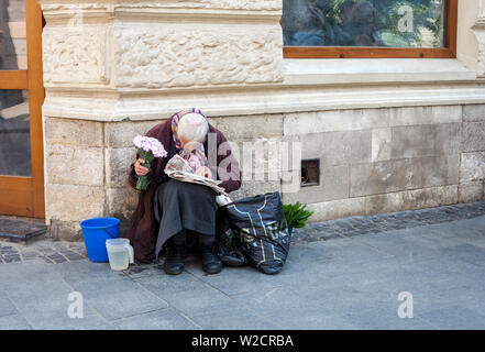 Lemberg, Ukraine - 26. Mai 2019: ältere Frau, die Blumen. Alte Frau sitzt auf der Straße und lesen Zeitung Stockfoto