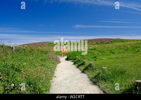 Frau zu Fuß in Richtung Godrevy Beach im Süden Westr Coast Path Stockfoto