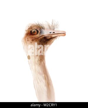 Strauss Vektor Aquarell auf weißen isoliert. Symbol Stil gemalten Abbildung Stock Vektor