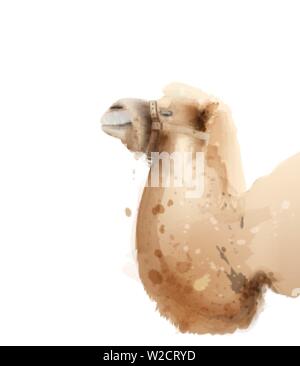 Kamel Vektor Aquarell auf weißen isoliert. Symbol Stil gemalten Abbildung Stock Vektor