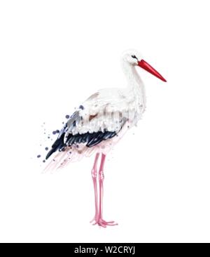 Stork Vektor Aquarell auf weißen isoliert. Symbol Stil gemalten Abbildung Stock Vektor