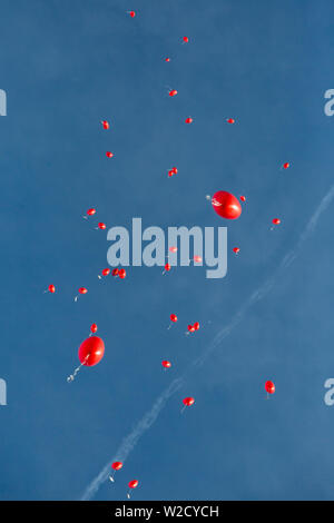 Gruppe von Herzförmige rote Luftballons fliegen in natürlichen blauen Himmel Stockfoto