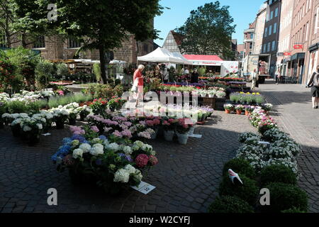 Blumenmarkt in Bremen, Deutschland Stockfoto