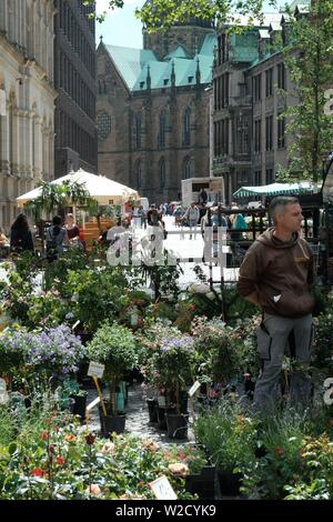 Blumenmarkt in Bremen, Deutschland Stockfoto