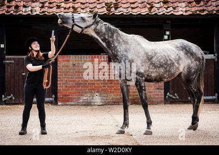 Stephanie Callen Der redwings Horse Sanctuary in Hampton, Norfolk mit pensionierten Rennpferd, "Nobby" mit ihrem Apple iPhone die Klänge der Pferde für ein Projekt ein Archiv für die Verwendung in Filmen, Radio und TV zu erstellen. Inspiriert durch die ÒWilhelm ScreamÓ C der Sound Effekt einer horseÕs wiehern, dass ein Witz in Hollywood geworden ist, die sich in Filmen von Star Wars bis Indiana Jones zu Disney Filme und mehr C zwei Unternehmen verwendet worden, haben sich zusammengetan, um ihn zu ersetzen. Soziales Netzwerk und app Equilab und Sound Library De Wolfe Musik, Sound für Filme wie Brokeback Mountain und Ame geliefert hat Stockfoto