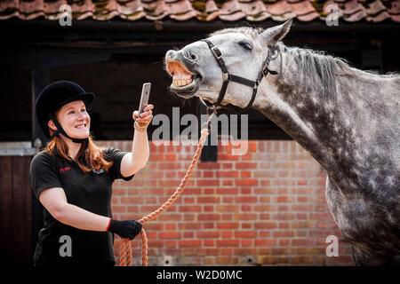 Stephanie Callen Der redwings Horse Sanctuary in Hampton, Norfolk mit pensionierten Rennpferd, "Nobby" mit ihrem Apple iPhone die Klänge der Pferde für ein Projekt ein Archiv für die Verwendung in Filmen, Radio und TV zu erstellen. Inspiriert durch die ÒWilhelm ScreamÓ C der Sound Effekt einer horseÕs wiehern, dass ein Witz in Hollywood geworden ist, die sich in Filmen von Star Wars bis Indiana Jones zu Disney Filme und mehr C zwei Unternehmen verwendet worden, haben sich zusammengetan, um ihn zu ersetzen. Soziales Netzwerk und app Equilab und Sound Library De Wolfe Musik, Sound für Filme wie Brokeback Mountain und Ame geliefert hat Stockfoto