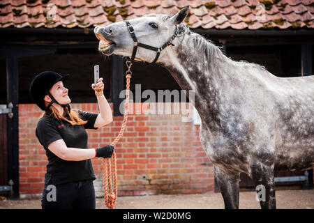 Stephanie Callen Der redwings Horse Sanctuary in Hampton, Norfolk mit pensionierten Rennpferd, "Nobby" mit ihrem Apple iPhone die Klänge der Pferde für ein Projekt ein Archiv für die Verwendung in Filmen, Radio und TV zu erstellen. Inspiriert durch die ÒWilhelm ScreamÓ C der Sound Effekt einer horseÕs wiehern, dass ein Witz in Hollywood geworden ist, die sich in Filmen von Star Wars bis Indiana Jones zu Disney Filme und mehr C zwei Unternehmen verwendet worden, haben sich zusammengetan, um ihn zu ersetzen. Soziales Netzwerk und app Equilab und Sound Library De Wolfe Musik, Sound für Filme wie Brokeback Mountain und Ame geliefert hat Stockfoto