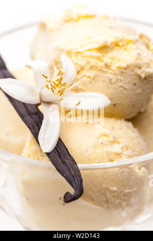 Eisbecher: detail Vanilleeis Eisbecher mit Vanille Blume Stockfoto