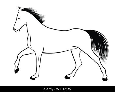 Horse line Art Illustration - Vektor Stock Vektor