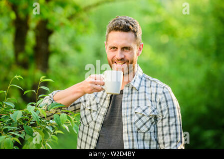 Grüner Tee Plantage. Vollständige blatt Tee. Hervorragender Geschmack. Genießen Sie heiße Getränke. Natürliche trinken. Gesunde Lebensweise. Ich bevorzuge grünen Tee. Erfrischendes Getränk. Man bärtige Kaffee Bauer halten Becher Natur Hintergrund. Stockfoto