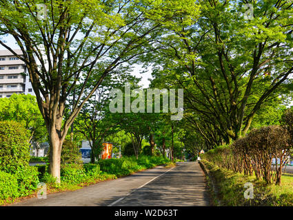 Nagoya, Japan - 29.Juni 2019. Straße mit vielen Bäumen in Nagoya, Japan. Nagoya ist die Hauptstadt der Präfektur Aichi, ist eine Herstellung und Versand Nabe in Cen Stockfoto