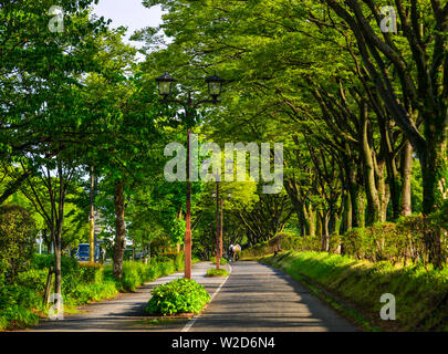 Nagoya, Japan - 29.Juni 2019. Straße mit vielen Bäumen in Nagoya, Japan. Nagoya ist die Hauptstadt der Präfektur Aichi, ist eine Herstellung und Versand Nabe in Cen Stockfoto