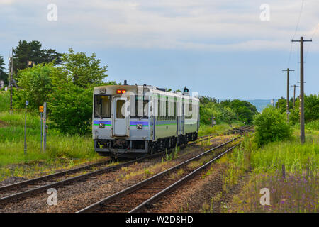 Furano, Japan - 30. Juni 2019. Kleiner Zug in der Landschaft von Furano, Japan. Furano ist einer der berühmtesten Hokkaido Sommer Destinationen. Stockfoto