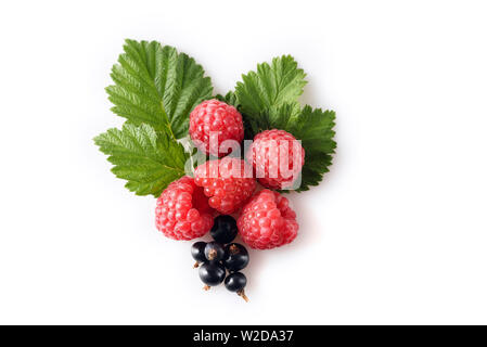 Verschiedene frische Beeren auf weißem Hintergrund Stockfoto