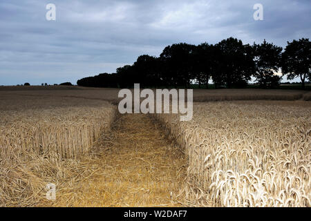 Wólka Orchowska, Polen, der Provinz Großpolen, Piktogramme auf den