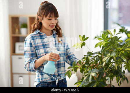 Gerne asiatische Frau spritzen Zimmerpflanze zu Hause Stockfoto
