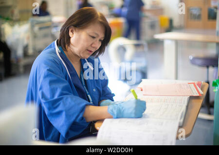 NHS Krankenschwester macht sich Notizen über einen Patienten in einem NHS Krankenstation. Stockfoto