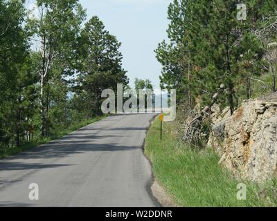 Entlang einer kurvenreichen Strasse an Nadeln Autobahn in South Dakota. Stockfoto