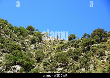 Trail in Kollita Schluchten (Moudriano, Poros, Moundros Schlucht), Kreta in Griechenland Stockfoto