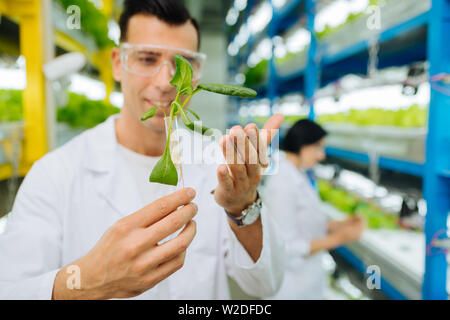 Professionelle männlichen Landwirt Brille Bepflanzung grünen Stockfoto
