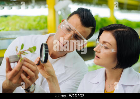Dunkelhaarige hübsche Frau Landwirt mit Lupe Stockfoto