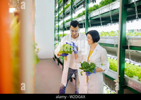 Landwirte Gefühl der Freude bei der Arbeit im Gewächshaus Stockfoto