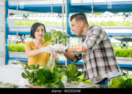 Mann und Frau Gefühl besetzt, während die grünen Pflanzen im Gewächshaus Stockfoto