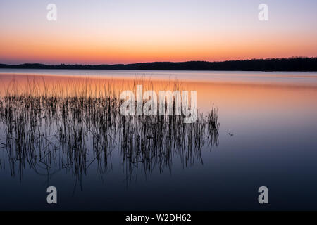 Friedlichen und farbenfrohen Sonnenuntergang über dem See Kellersee mit Reed im Vordergrund, Schleswig-Holstein Norddeutschland Stockfoto