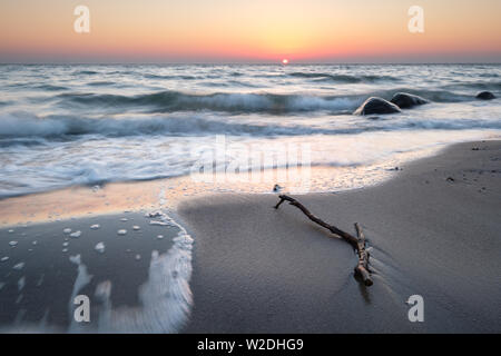 Treibholz am Sandstrand im Golden sunrise, Ostsee Schleswig-Holstein Stockfoto