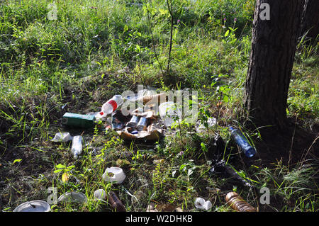 Müll im Wald. Personen, die illegal Müll in den Wald geworfen. Konzept von Mensch und Natur. Stockfoto